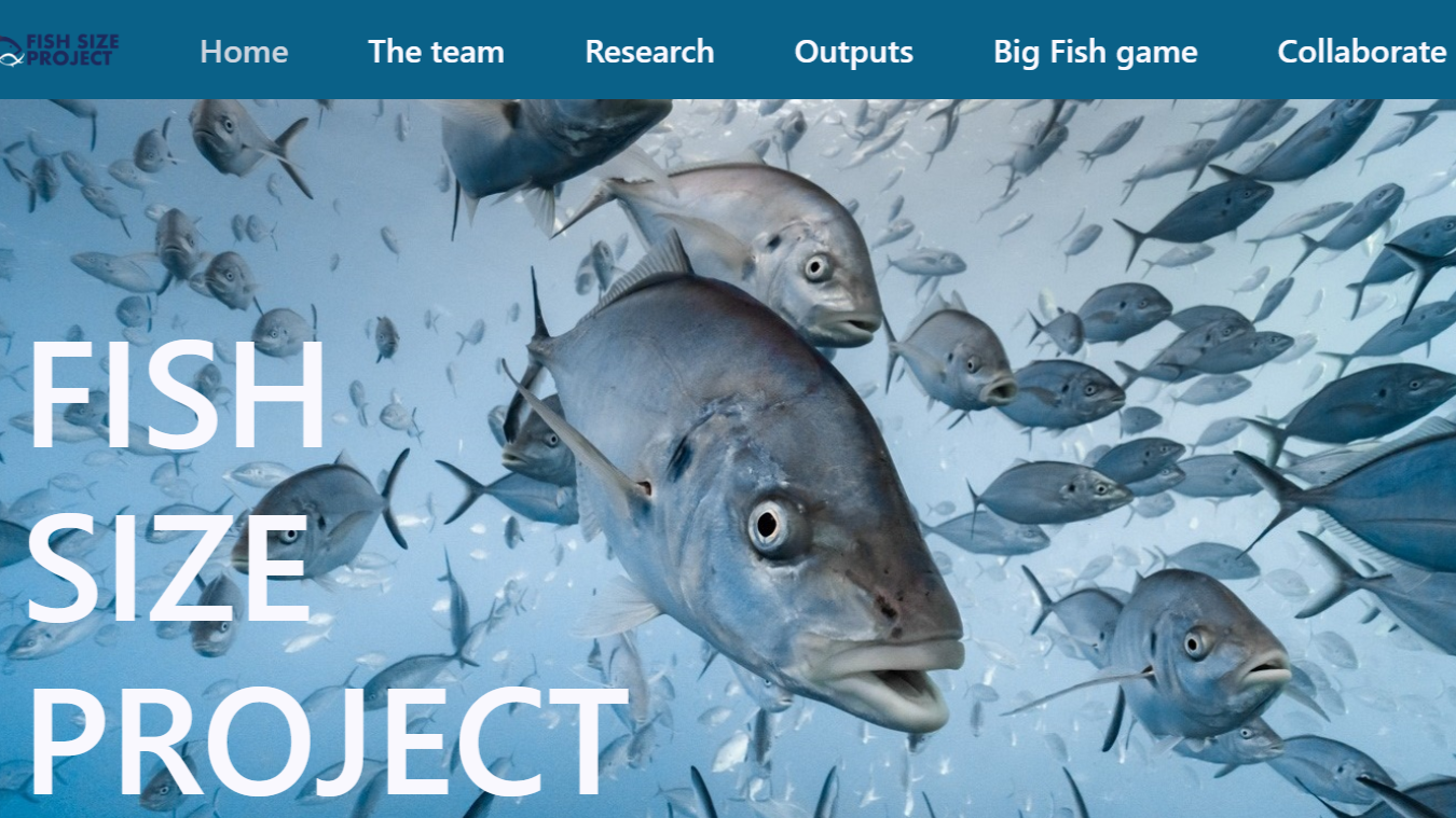 Screenshot of the FishSizeProject website