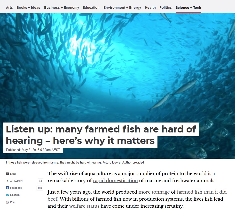 Conversation article screenshot